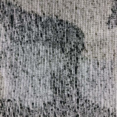Impresión de piel de conejo falsa para bolsas de ropa 100% poliéster Jacquard de 3 colores de tela de impresión