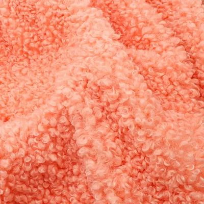Abrigos para mujeres 300GSM Teddy Fleece Tejido con concha blanda Color personalizado 100% poliéster Muestras gratuitas