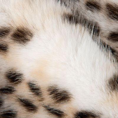 1050g/m Impresión de animales de pelo falso de pila larga con leopardo Impresión de piel de visón